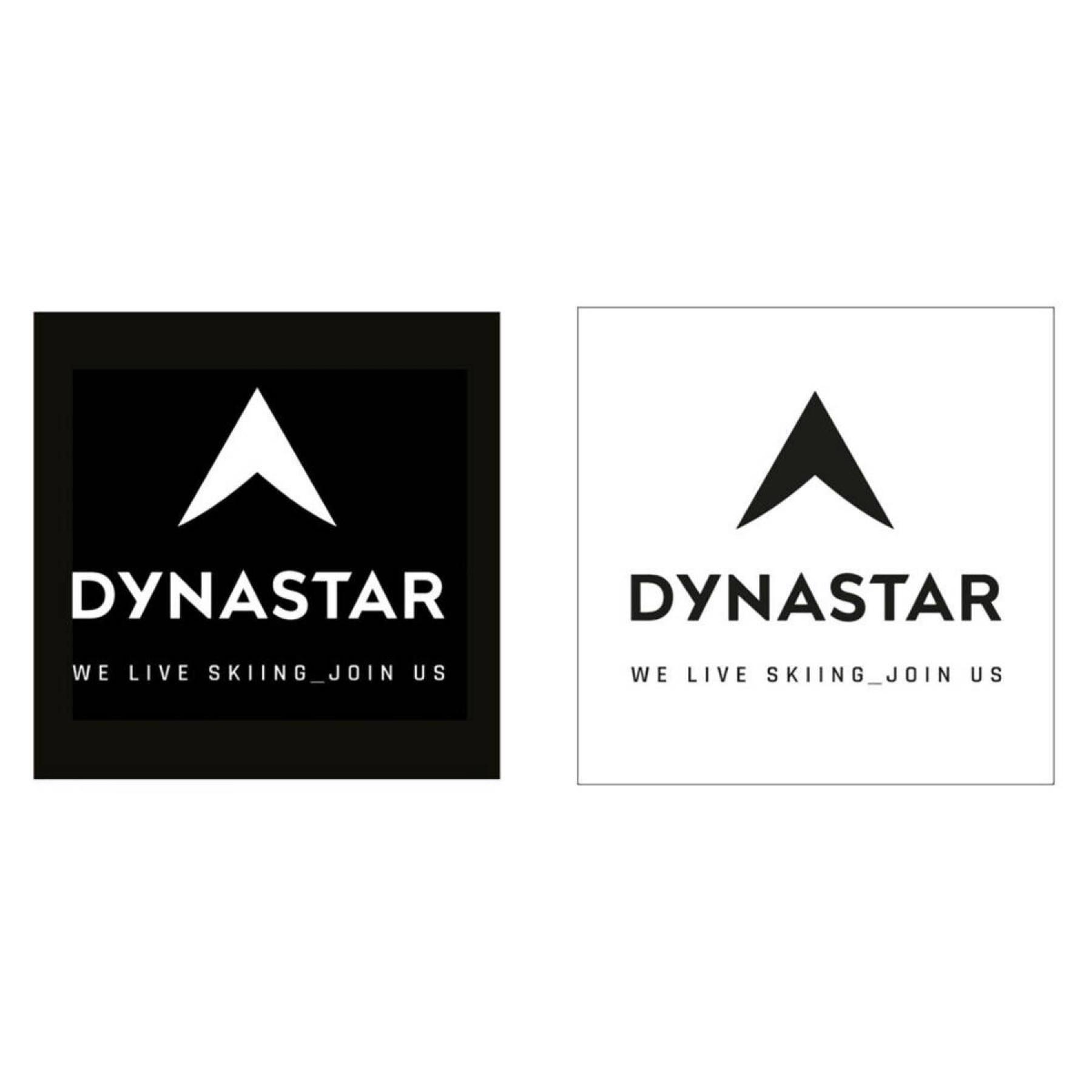 Pegatinas Dynastar L10 corporate