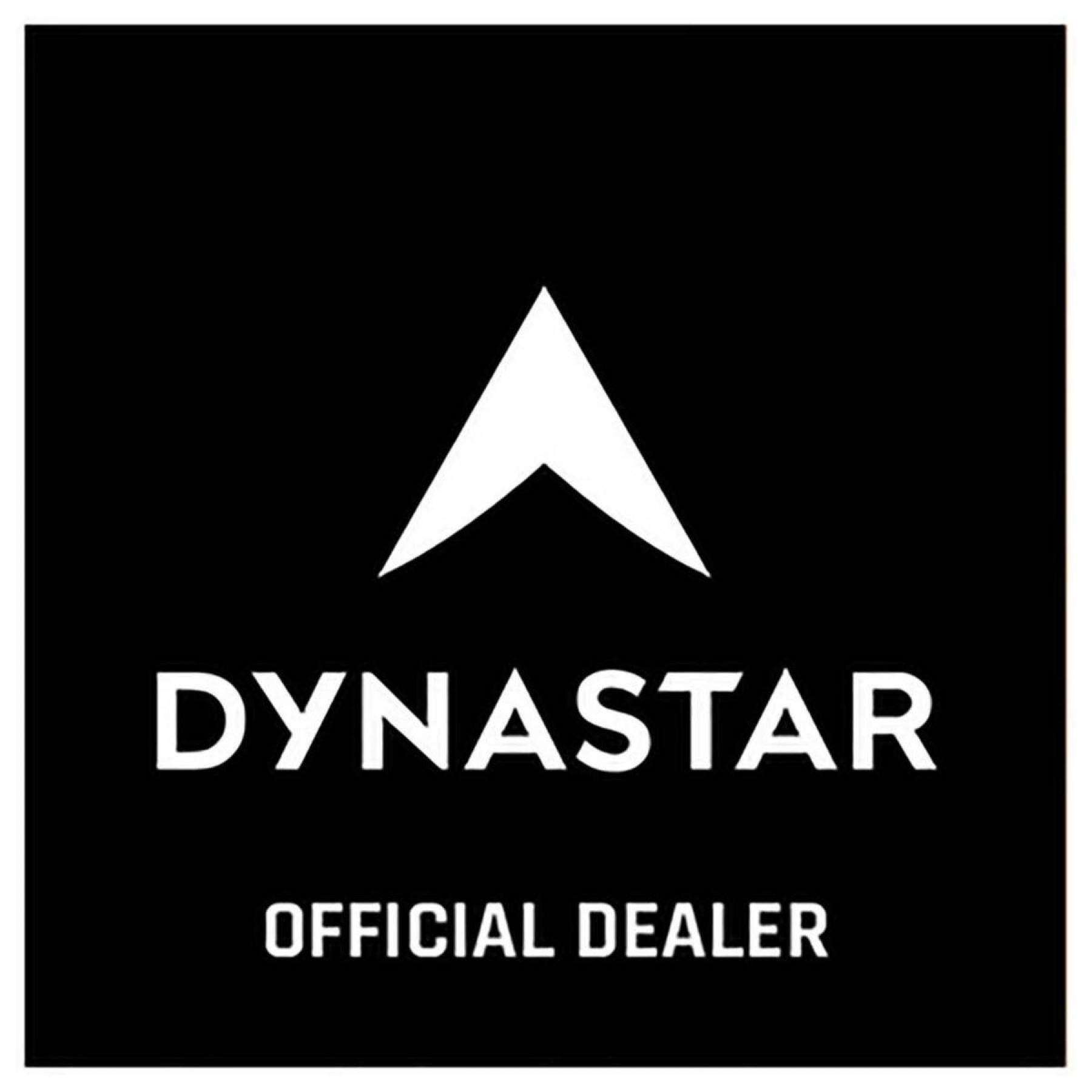 Pegatinas Dynastar L2 official dealers