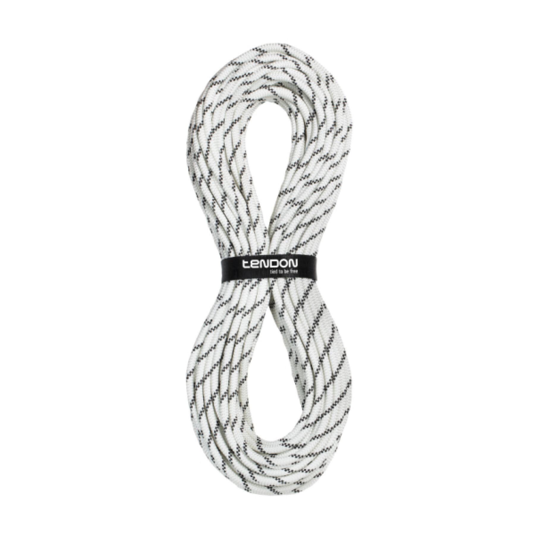Cuerda estática estándar Tendon 10.5 mm