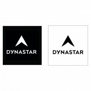 Pegatinas Dynastar L100 corporate