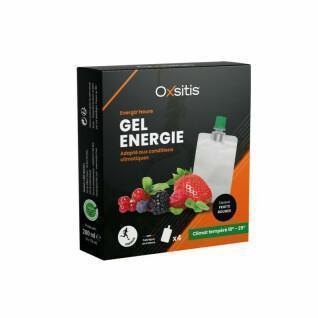 Gel energético para clima templado - frutos rojos Oxsitis Energiz'heure