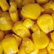 Semillas Nash Creamed Corn 2,5 L